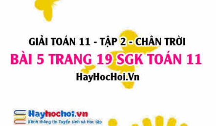 Bài 5 trang 19 Toán 11 tập 2 Chân trời sáng tạo